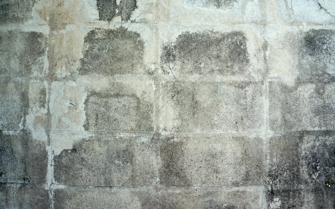 Paint Failure: Concrete Block