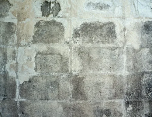 Paint Failure: Concrete Block