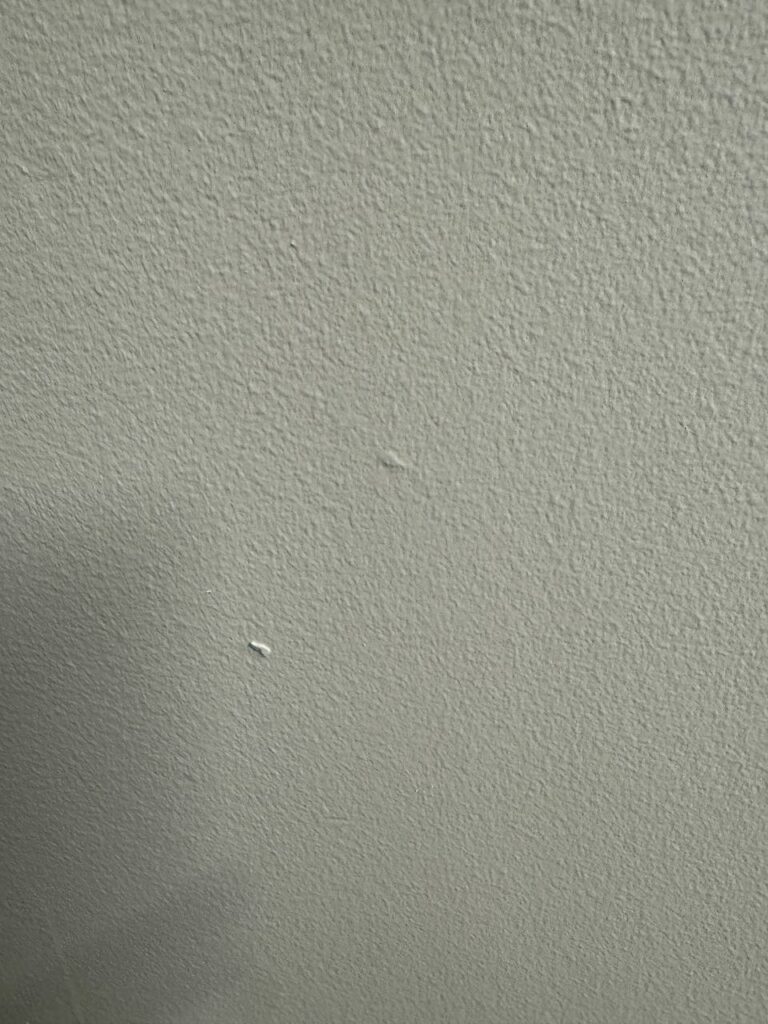Close-up of minor imperfections on a painted wall surface.