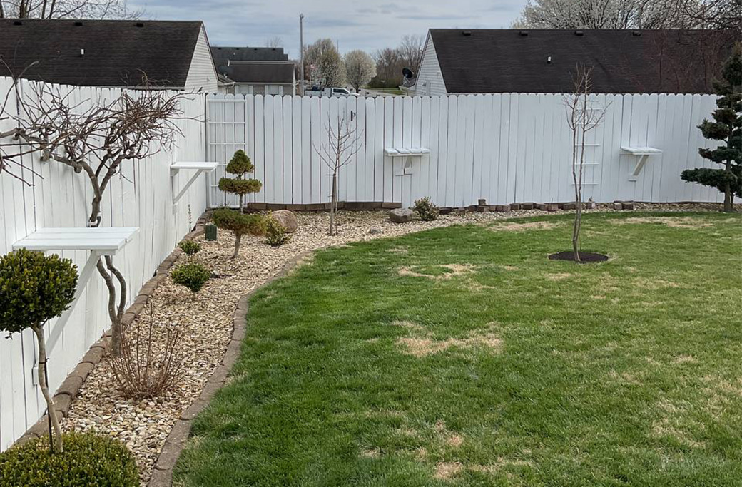 Decks & Fencing Painting