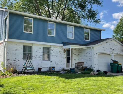 Romabio Mineral Paints: Eco-Friendly Style for Indiana Homes