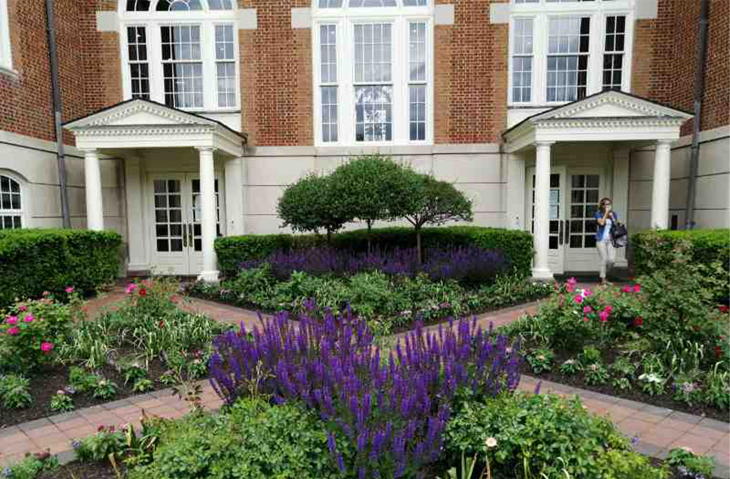 Why Choose a Local Carmel Painting Partner?