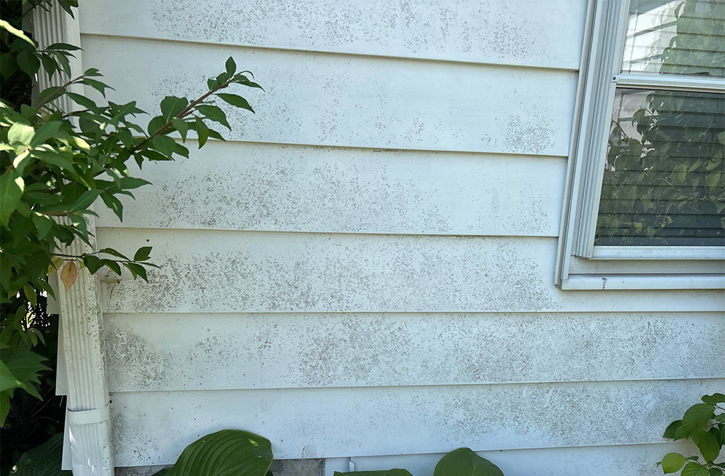 Warning Signs Your Exterior Paint Is Failing