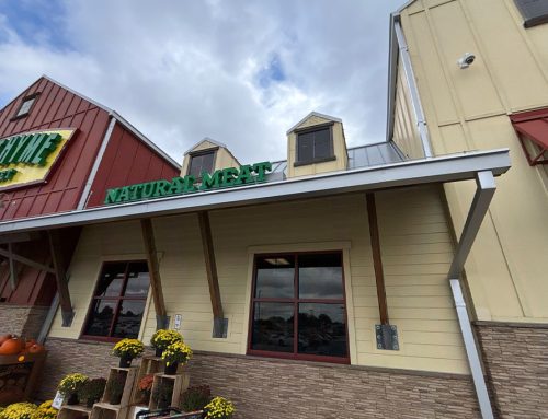 Why Businesses Shouldn’t Delay Commercial Painting